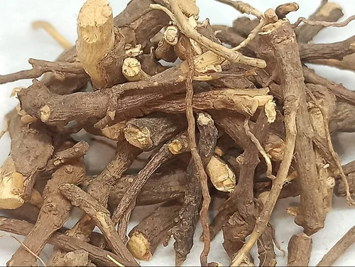 Sarsaparilla Root